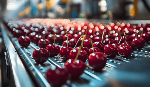 Packing Merquen - caso-2